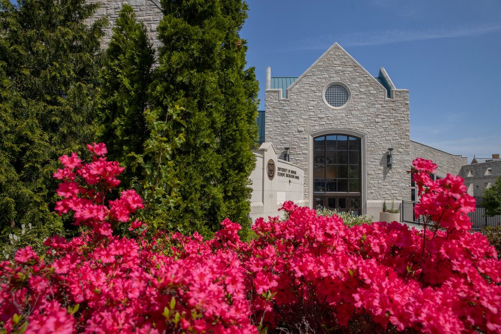 Mizzou's tweet photo. We're excited for the colors to bloom on #Mizzou's campus! Happy #FirstDayofSpring, Tigers. 💐🌞🐯 https://t.co/AhisLzAR0C