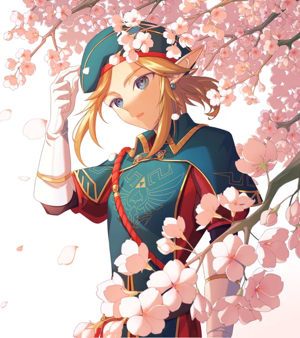 ?

(BotW:Zelda・ Link) 