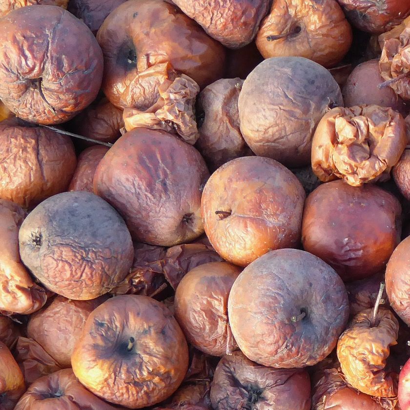 Ivermectin, convalescent plasma &amp; hydroxychloroquine: what do all of these have in common? One year of rotten apples. @crackedscience mcgill.ca/x/onX