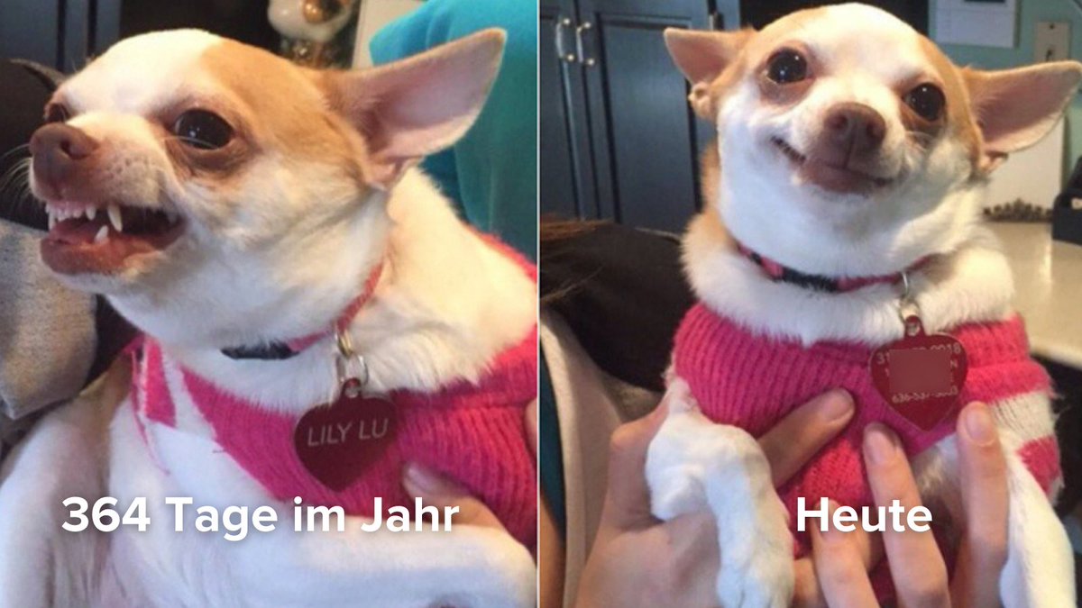 StartPage_DACH's tweet image. Das Internet ist ein gigantischer Spielplatz, der vieles einfacher und zugänglicher gemacht hat. Heute am #Weltglueckstag wollen wir mal an die schönen Seiten des Internets denken. Was hat euch zuletzt zum Lachen gebracht?

#WorldDayofHappiness