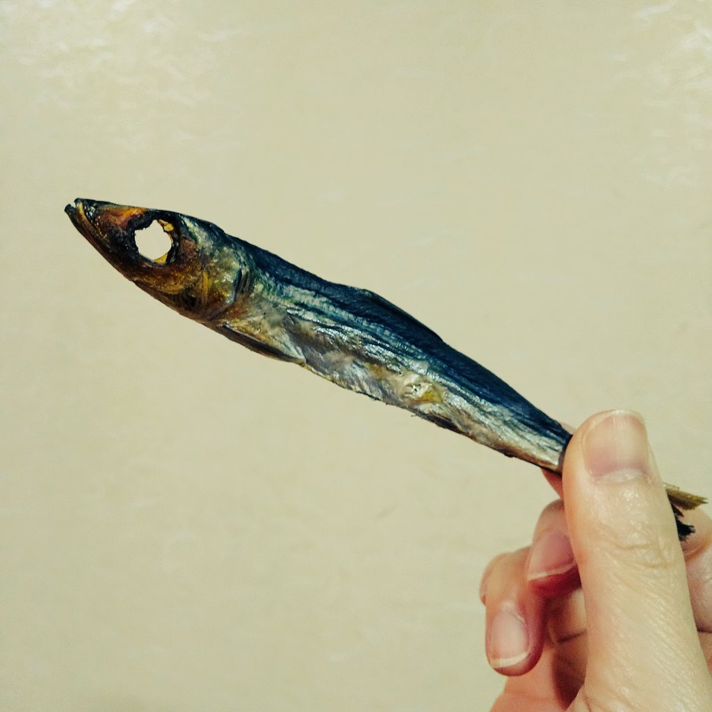 二島朋美 鹿児島の阿久根に来て知った 今まで知らなくてほんとにお恥ずかしいんだが めざし は魚の種類ではなく いわしの目を刺してあるからめざし ボンタアメ ではなく ボンタンアメ いずれも阿久根市の特産品 笑 意外と知らない人いる