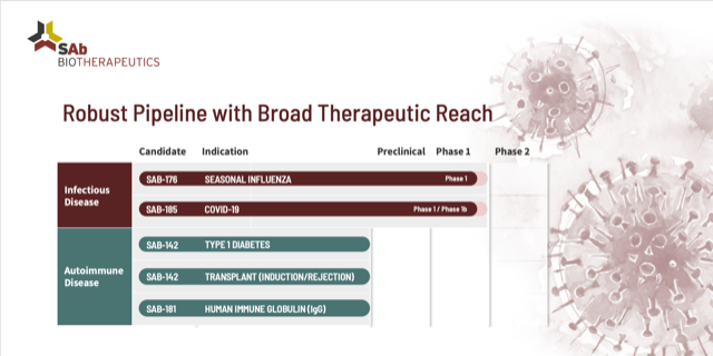 SABBantibody's tweet photo. Yes, recent focus on COVID-19, SAB #therapeuticplatform is so much more: SAB's DiversitAb™ designed w/ broad therapeutic application #autoimmune #inflammation &amp; #oncology. Preclinical candidate #SAB142 has potential in transplants &amp; Type 1 diabetes - right technology, right time https://t.co/V6clRTOcWq