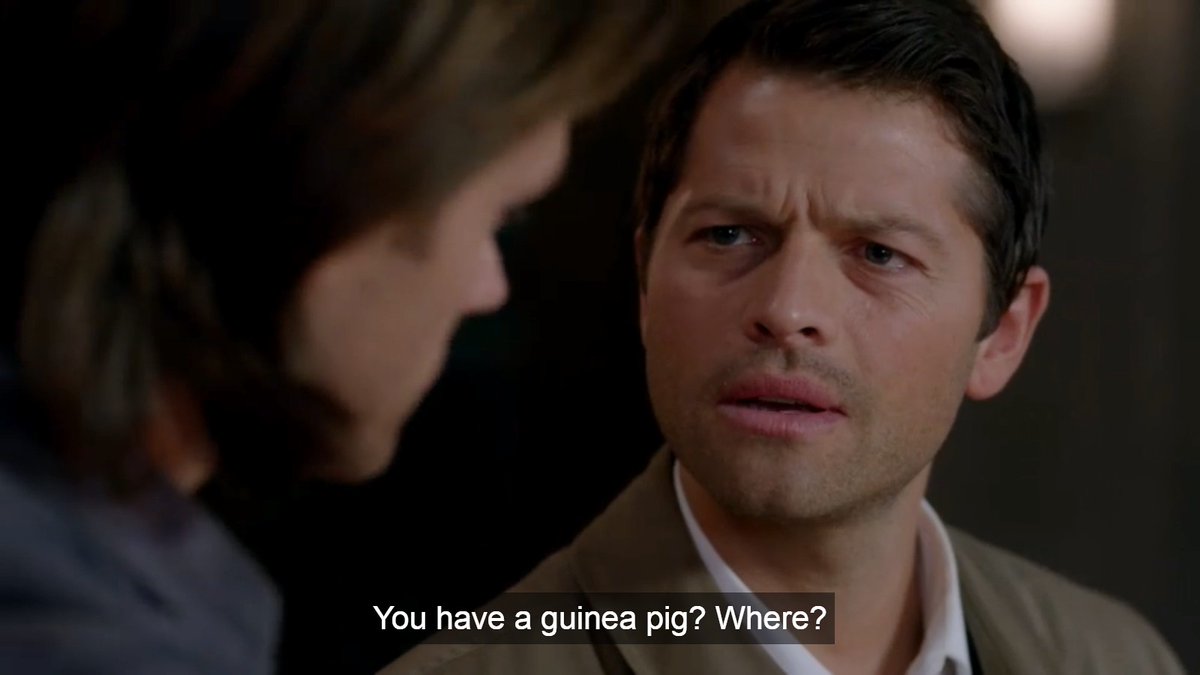 💭 (@castielthinker) on Twitter photo 
