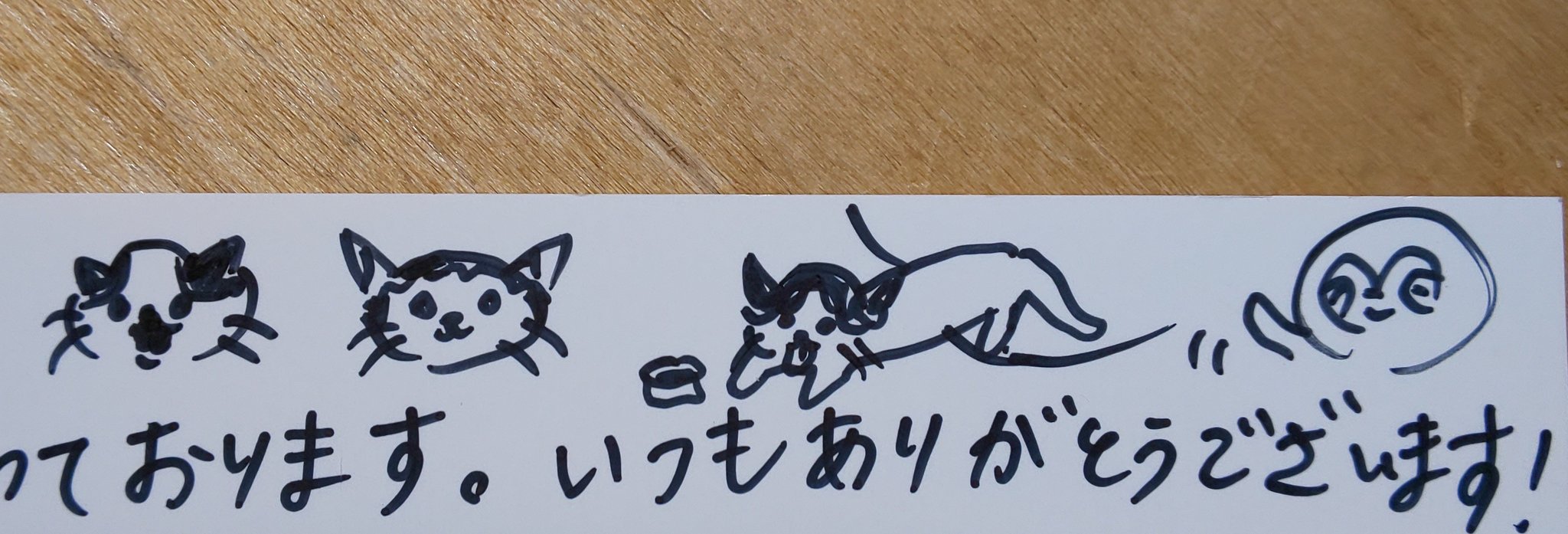 تويتر すあま商會 على تويتر 明日から スロースさん Slothcoffee のアイスコーヒー始めます じっくり仕込んだスロース流氷出しアイスコーヒーは 香りとうま味 深みが全然違う ぜひお試しください そして いつも納品の際に素敵なお手紙と かわいいイラストを