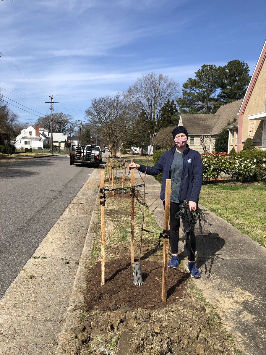 abj4cleanwater's tweet photo. Volunteers finished up tree planting in Hopewell. Sacred trees at Nazareth Lutheran Church. @chesapeakebay
#MoreTreesPls
#GreenSpaces
#RootedInHopewell https://t.co/V6WoMLw69O