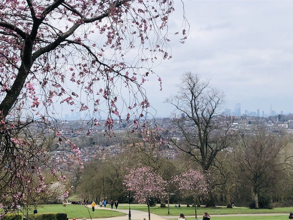 KirstyBrant's tweet photo. #spring #alipali https://t.co/2sRuYbIsCm