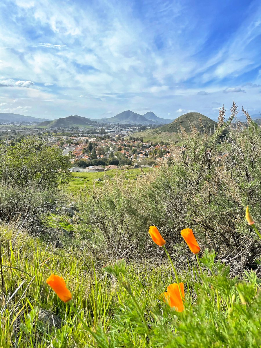 SLO hills are poppin!
#firstdayofspring 
<a href="/SLOTribune/">The Tribune</a> <a href="/ShareSLO_/">#ShareSLO</a> <a href="/slocountyinfo/">slocounty.info</a> <a href="/tvdave/">Dave Hovde</a> <a href="/VisitSLOCAL/">Visit SLO CAL©</a> <a href="/DiscoverSLO/">Visit SanLuisObispo</a> @Hwy1DiscoveryRt <a href="/slochamber/">SLO Chamber</a> <a href="/wildflowerfolie/">Wildflowerfolie</a>