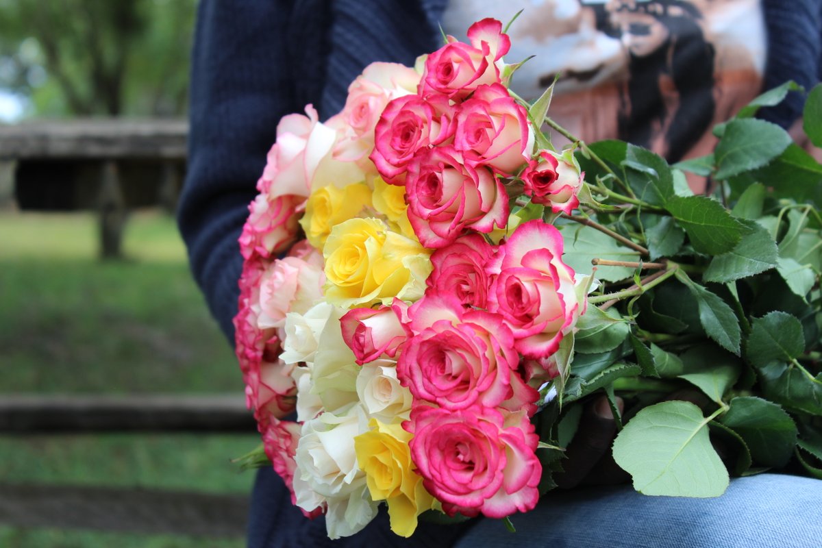 Amazing colors to start your spring season. We wish you a colorful spring.
#colorfulfuture
#unitedselectionsbreeding