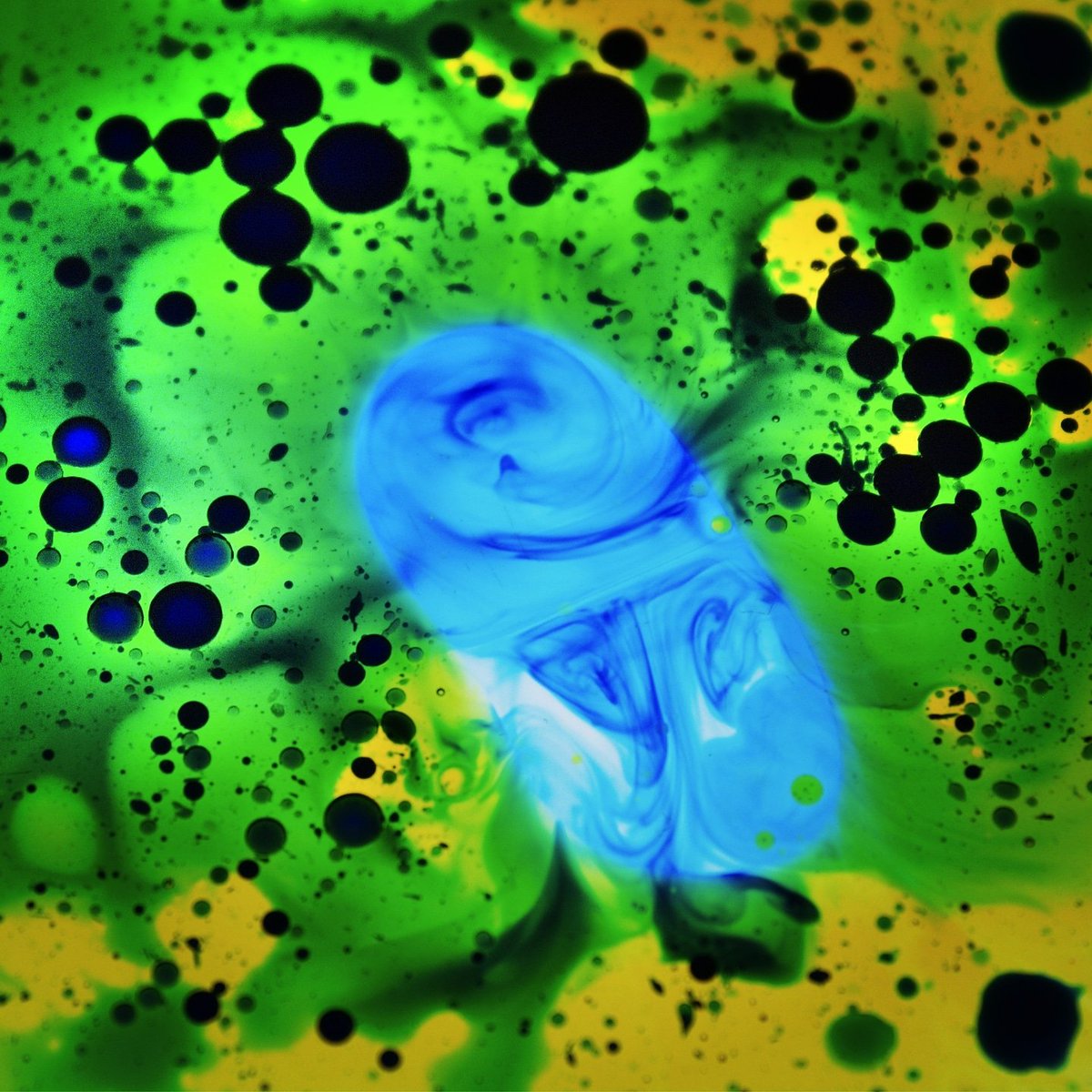 Spirit_in_the_Wind
.
.
.
#artistsoninstagram 
#liquidlightart 
#escapeism 
#trippyart 
#glassart 
#lasvegasartist 
#cryptoartist 
#cryptoart