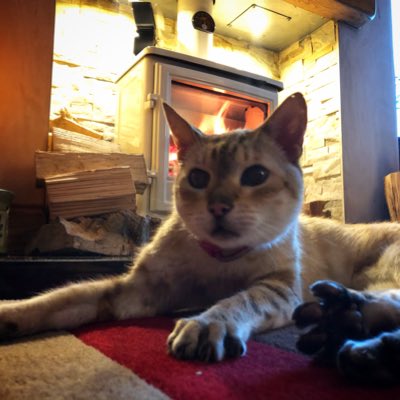 JerryWilley_'s tweet photo. #NewProfilePic https://t.co/iJKpRDFmIh