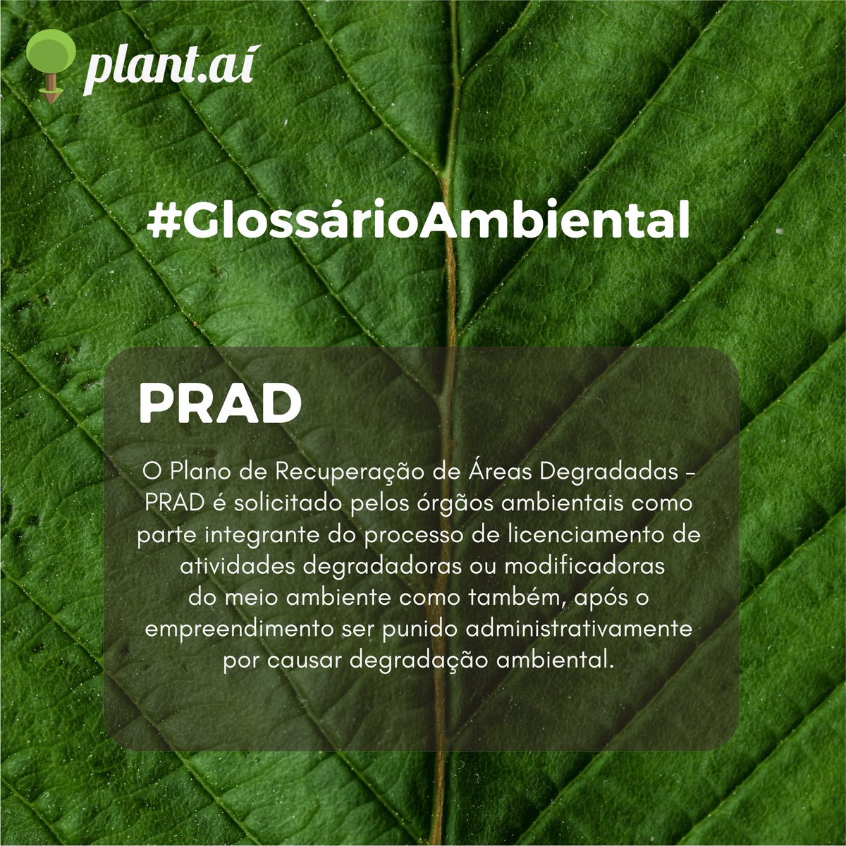 Plant_ai's tweet photo. O Plano de Recuperação de Áreas Degradadas – PRAD é solicitado pelos órgãos ambientais como parte do processo de licenciamento de atividades degradadoras ou modificadoras do meio ambiente como também, após o empreendimento ser punido por causar degradação ambiental. https://t.co/wF4ulGsTuy