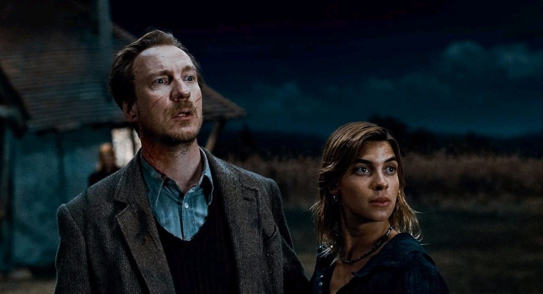 HAPPY BIRTHDAY BONNE FÊTE DAVID THEWLIS!       