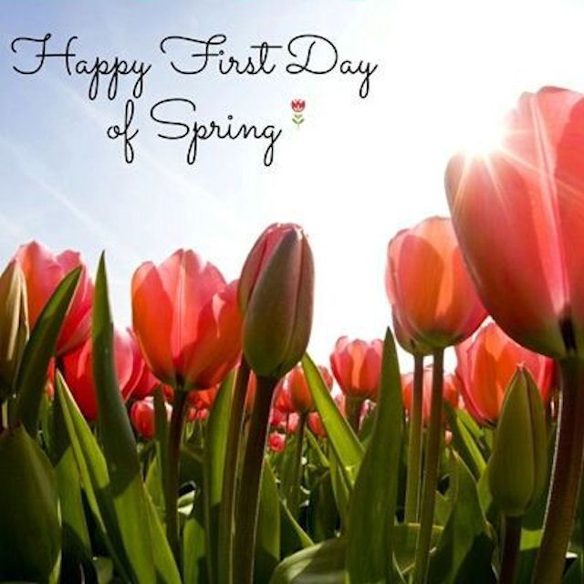 Happy First Day Of Spring Quotes Sarpri Dawson On Twitter: "Happy First Day Of Spring! It's Time To Shake  Off The Cold And Spring Back To Life! I Hope This Season Will Create An  Atmosphere Of Love, Hope,