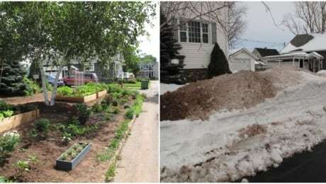 Summerside woman spurs action after city dumps snow, road scrapings on garden https://t.co/Qq1NnE06HG #pei https://t.co/5nVcsU9G3S