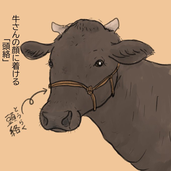 頭絡のtwitterイラスト検索結果 古い順