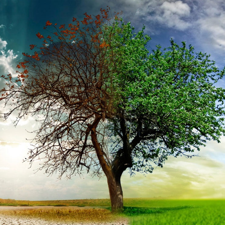 NUEVA SITUACIÓN DEL GRUPO DE APOYO DE LLEIDA
Informamos q nuestro grupo se disuelve indefinidamente x motivos internos. Cuando nos veamos con fuerza volveremos. Blog, Facebook y Twitter van a estar inactivos.El correo tampoco va a estar pero no será d golpe
QUE LA LUCHA NO MUERA!