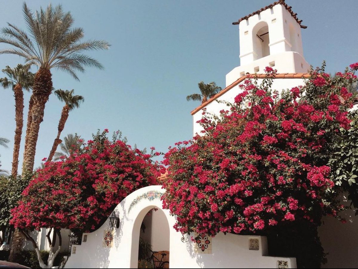 Spring has sprung at the original desert hideaway 🌺 #FirstDayofSpring

PC: @thewanderingpeanut_

#laquintaresort
#waldorfastoria
