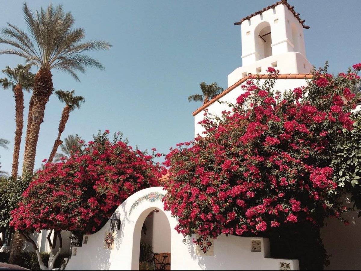 Spring has sprung at the original desert hideaway 🌺 #FirstDayofSpring PC: @thewanderingpeanut_ #laquintaresort #waldorfastoria