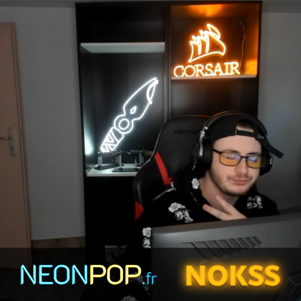 NeonpopF's tweet photo. Merci @NokSs_OW #CorsaireFRA pour ta confiance ❤ https://t.co/DmbI2DVrts