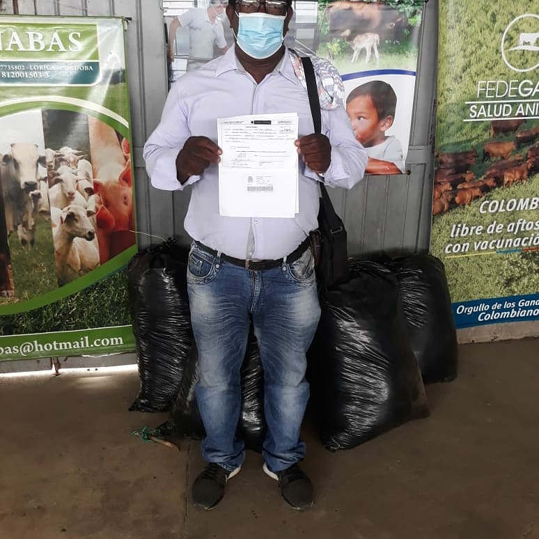 GANABAS2's tweet image. Hoy con el apoyo del Ministerio de Agricultura y Desarrollo rural apoyamos con Silo a los pequeños Ganaderos del Municipio de San Antero (Cordoba). Fedegan- Ganabas - Cadena Lactea de Cordoba. @Ganabas @Fedegan @Minagricultura 
@codegacor
@alcaldiaantero @LormandyMartinD