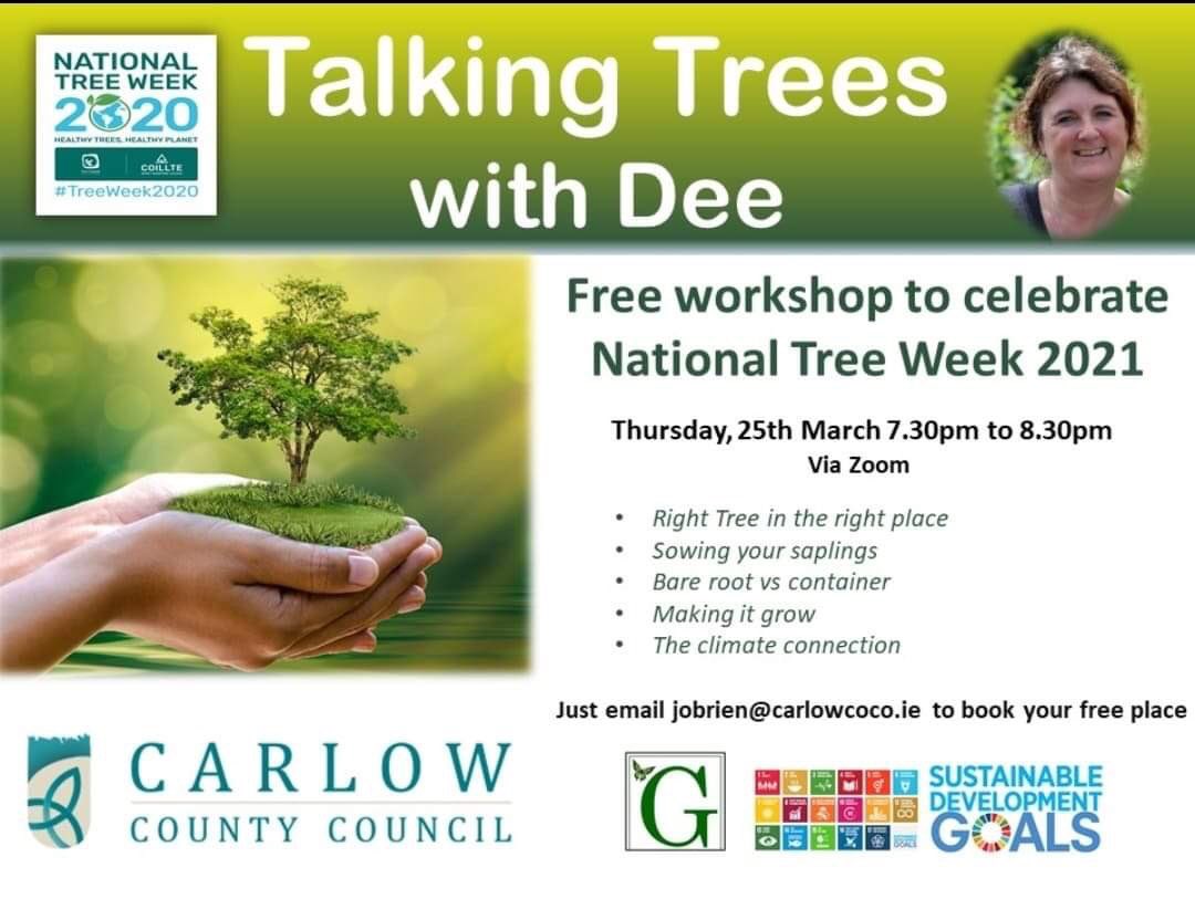 ShamrockSpring's tweet image. Want to talk trees ?
For #nationalrewildingday reserve your spot with 
@Greensideupveg 💚#treeweek21
