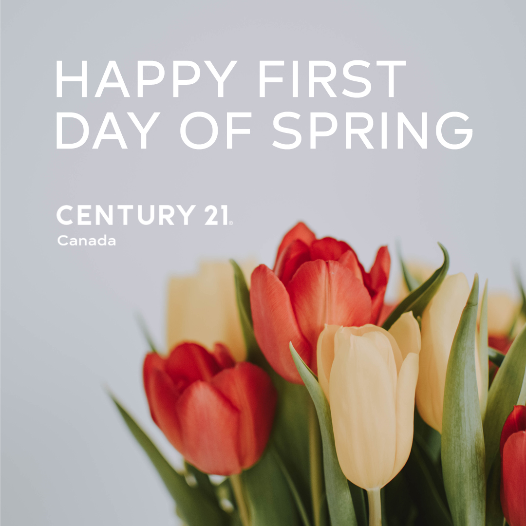Happy first day of spring! Spring has sprung, and a new season has begun ☀️ 🌷🐦 #firstdayofspring #spring

Selling your home? Call John Berry Your Comox  Expert! facebook.com/29577321722303…