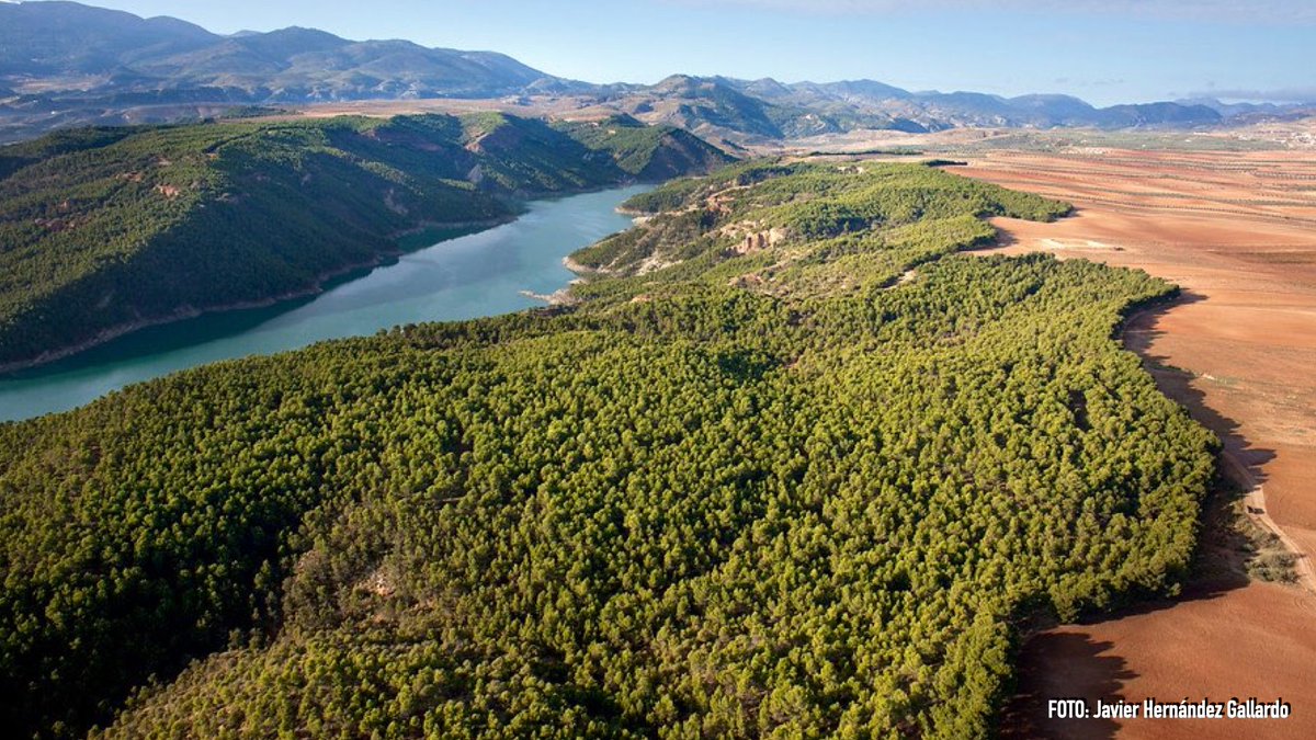 Consejería de Sostenibilidad y Medio Ambiente tweet media