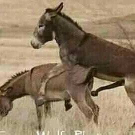 #صورة_ملف_شخصي_جديدة