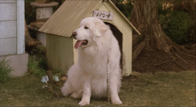 三谷武司さん の人気ツイート 4 Whotwi グラフィカルtwitter分析