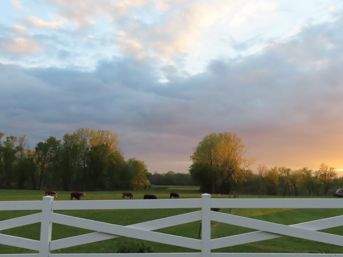 PLKlein_Author's tweet photo. "The minute you settle for less than you deserve, you get even less than you settled for." ~ #MaureenDowd #ThinkBIGSundayWithMarsha #SaturdayMotivation #QuickQuotes #ThinkingOutLoud #Minute #SettleForLess #DeserveMore https://t.co/1OWVJT491O