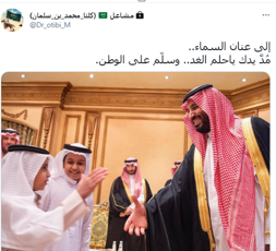 abeer Alj tweet media