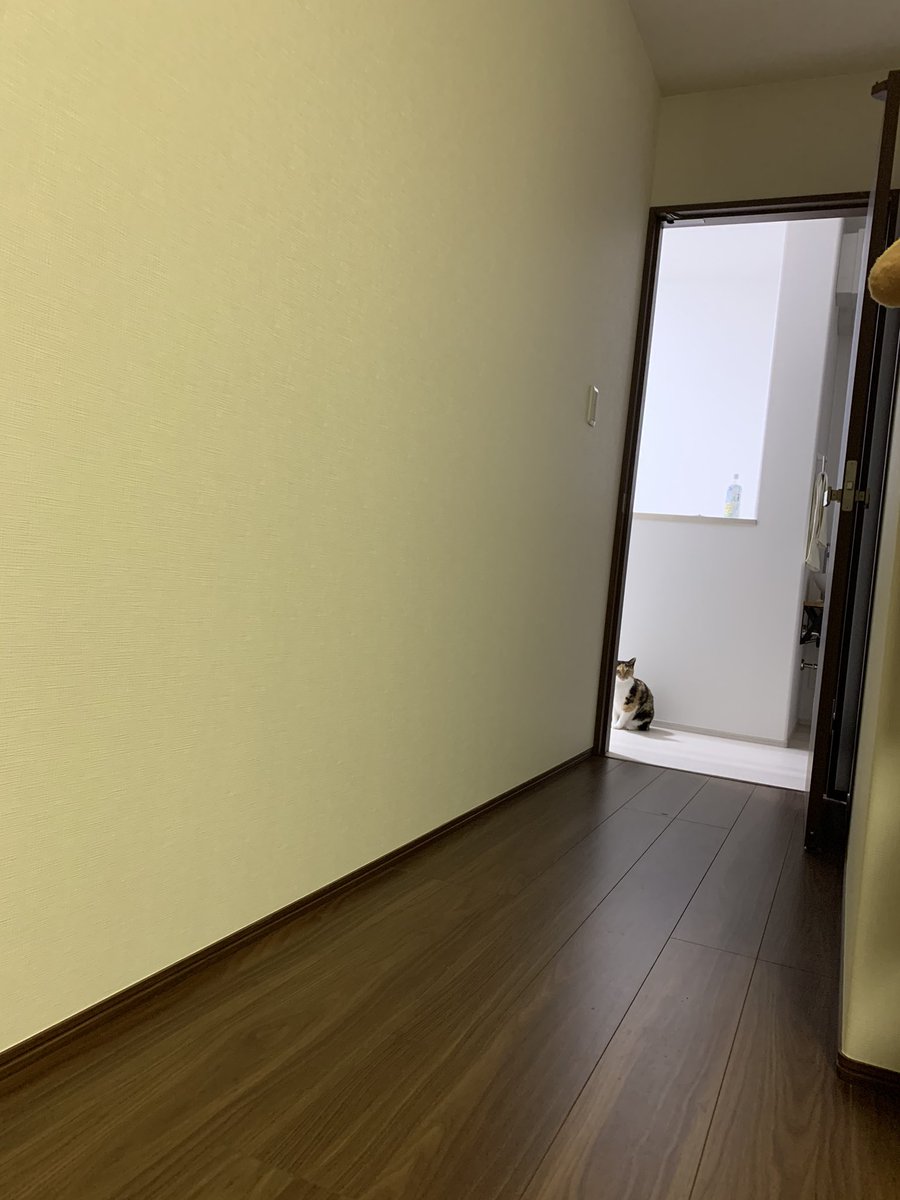 りら Rira Tayu Twitter