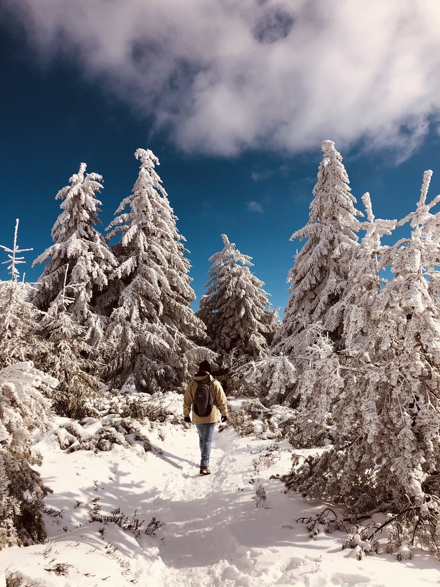 Blandine_42's tweet image. Retour de la neige et du froid dans le Pilat .... 🤍🥶
@PilatmonParc @tourisme42 
#magnifiquefrance #pilat #tourisme42
