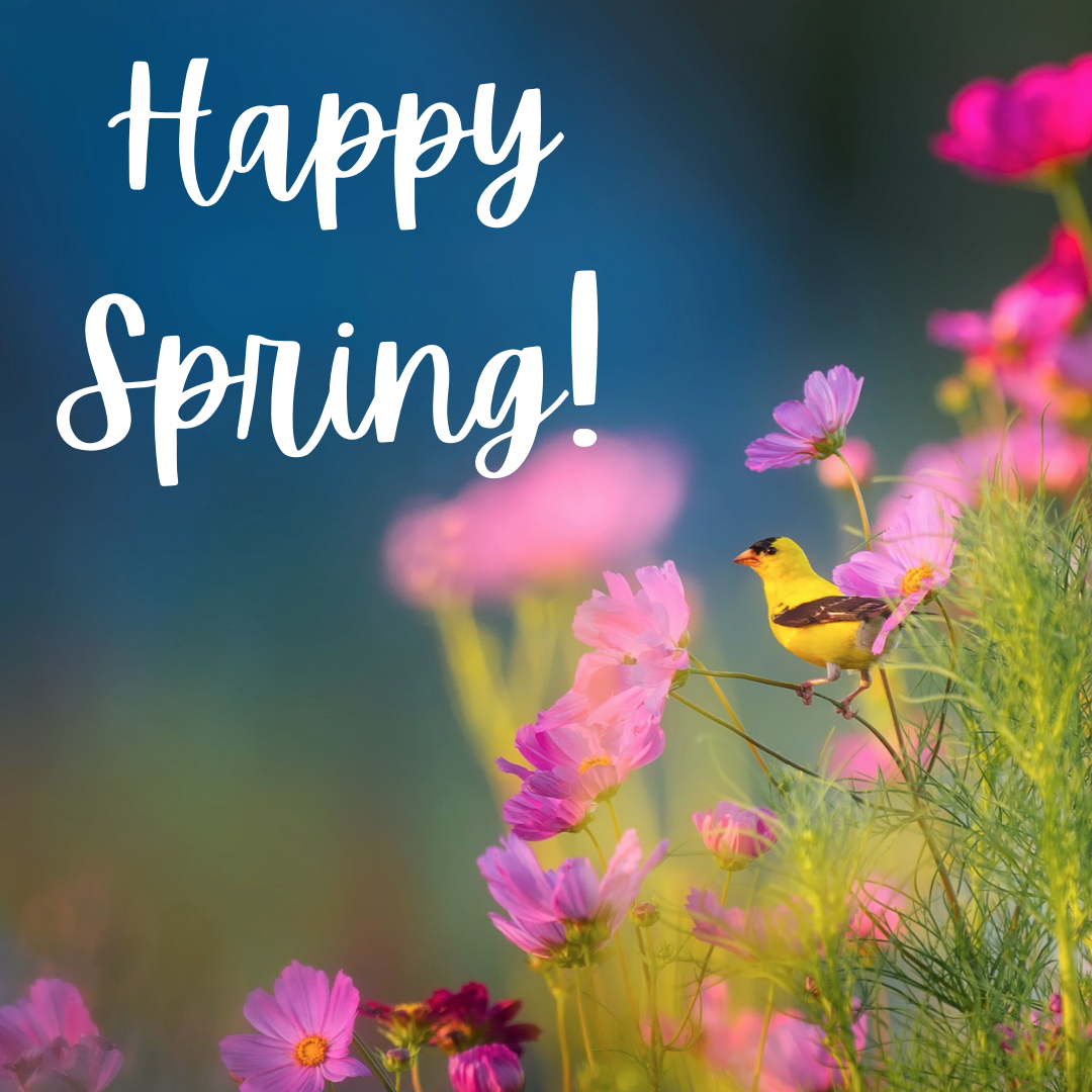 mipupico's tweet photo. Happy 1st Day of Spring! We're all looking forward to warmer and sunnier days, and they're finally here... Enjoy! https://t.co/tSh1FBv1k5