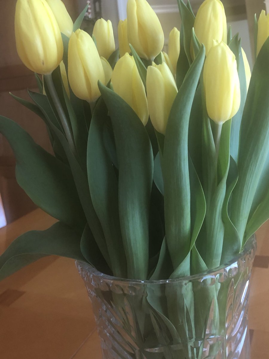 Happy Spring! Eleven years ago this week we made Halifax home - so much to be grateful for ❤️ #noregrets #blessed #novascotiastrong