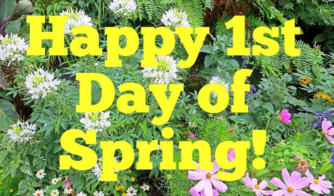kleraderm's tweet photo. Happy first day of Spring! 🌷🌷 https://t.co/rPjLB7n6yj