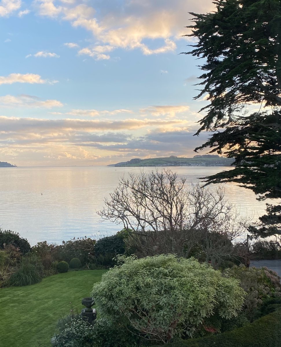 FixerCornwall tweet media