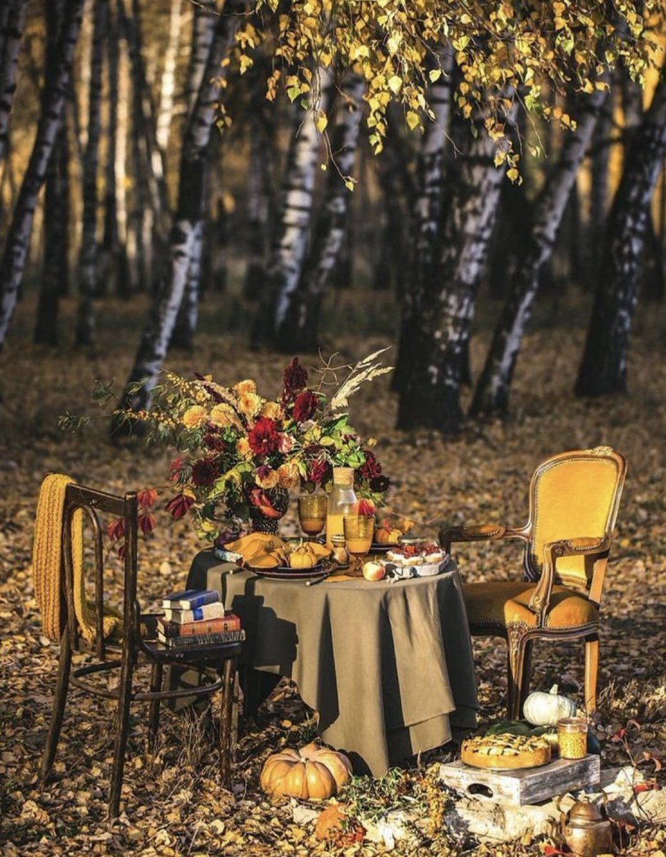 hecosfair's tweet photo. « L'#amour n'est rien d'autre que la suprême #poésie de la #nature. »
￼✍️ Novalis

#hecosfair #naturelovers #tree #arbre #foret #forest #NaturePhotography #fleurs #flowers #love #food #foolovers #book #booklovers #citation #livre #fruit #poetry https://t.co/9efmeToaWg