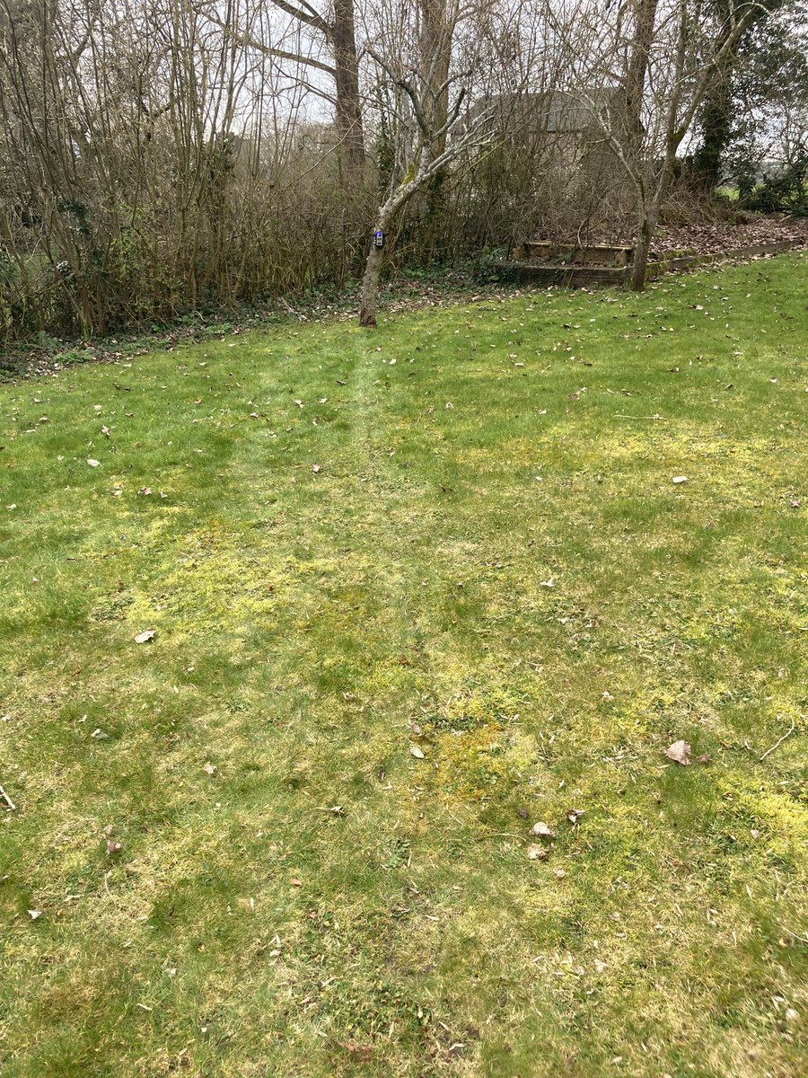 SamSeccombe's tweet image. Now it’s muddy! Trialling a new #InstantDetect2 metal detecting sensor connected to the #ID2 camera. Not expecting to catch many poachers here but it will have a field day when the lawn is mowed... @bartingtonltd #Tech4Wildlife