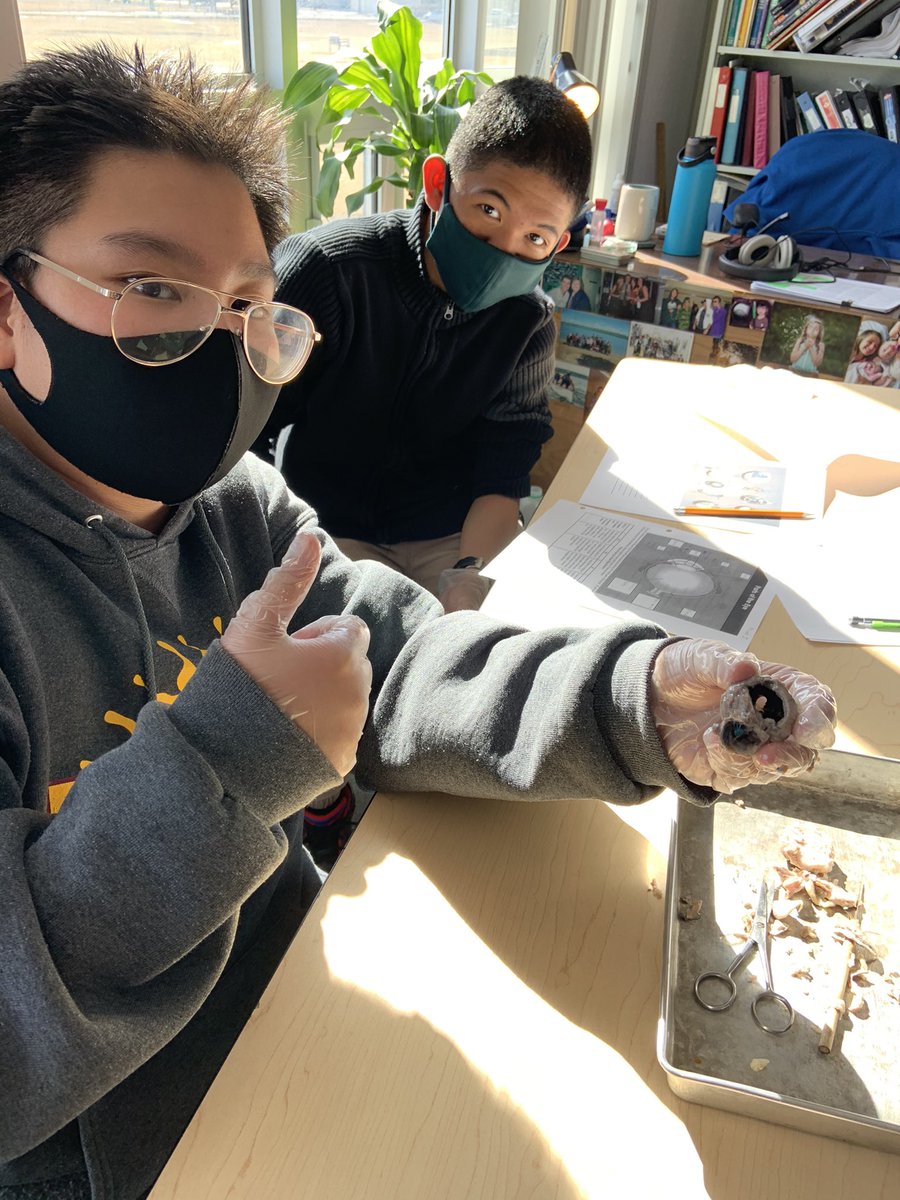 Rieger’sDaytimeFam🔥 tweet media