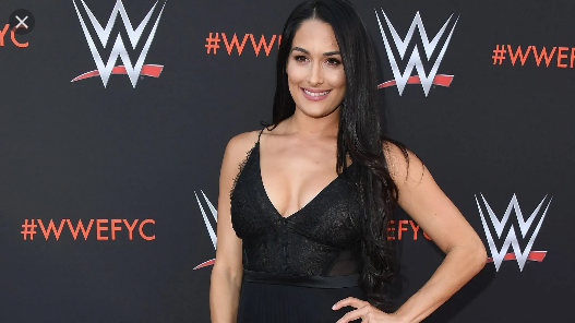 Photo: Nikki Bella not wearing pants while walking the dog https://t.co/3YnmVp8Dt5 #WWE #FeaturesSection #ThisIsNotJournalism https://t.co/9fyO7gGFZJ