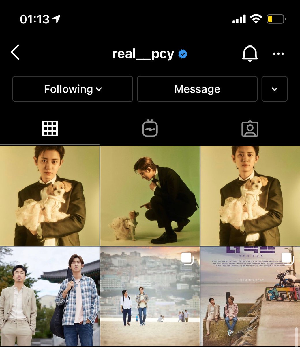 Realpcy_ tweet media