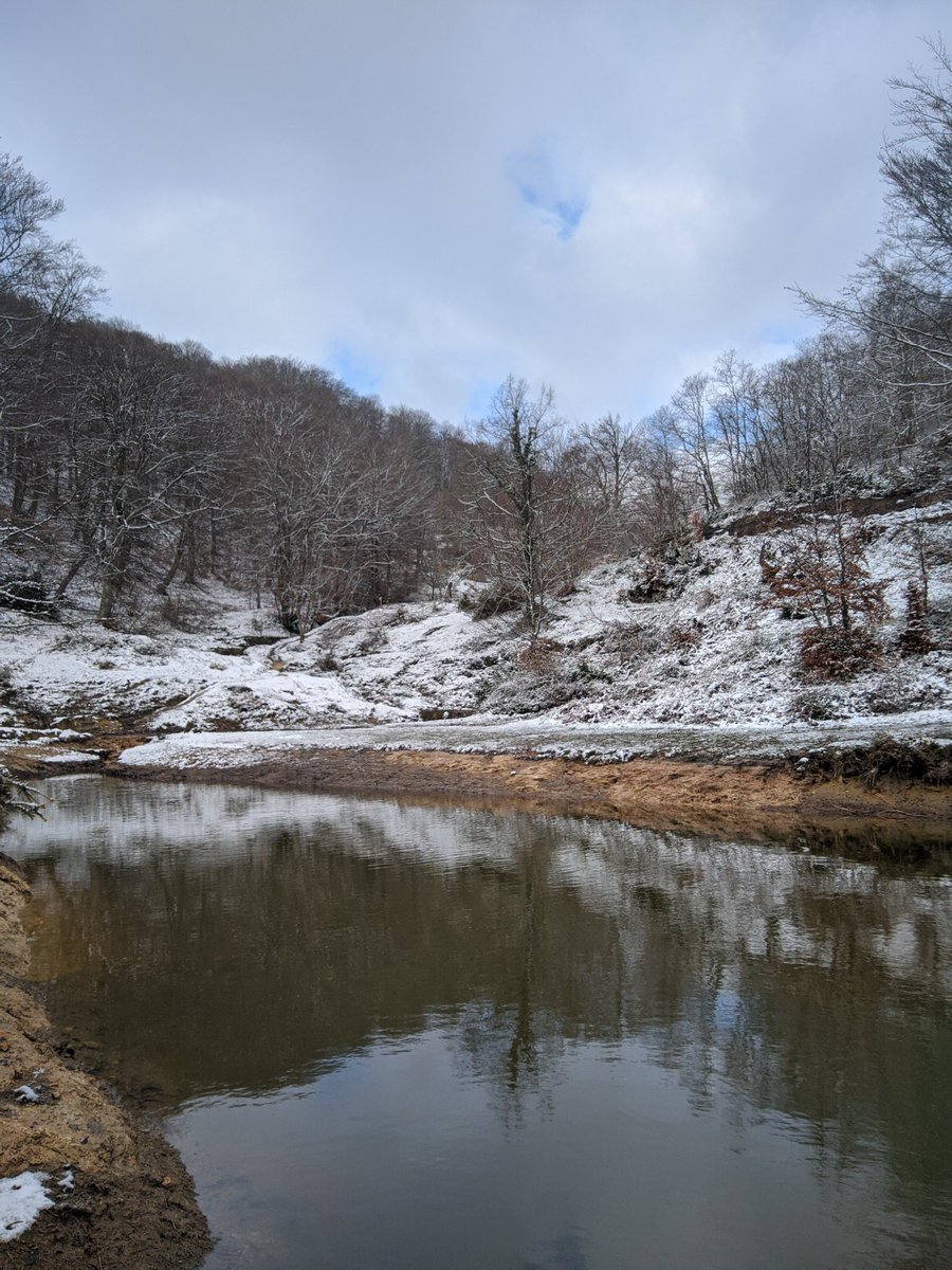jolaus's tweet photo. Gaurko txangoa Izkiko Parke Naturalean izan da. Azpiko argazki hauek San Kristobal inguruan ateratakoak dira. #Apilaiz #Araba #EuskalHerria https://t.co/TjKVeSG1e3