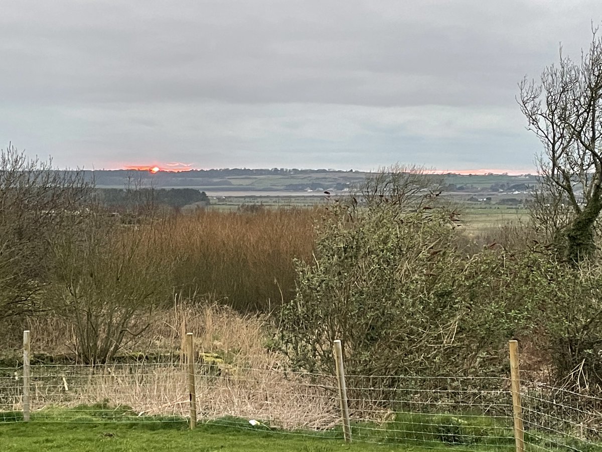 There is light at the end of the tunnel. Glan Morfa view from the newly added kestrel cottage. #holidaycottages #anglesey