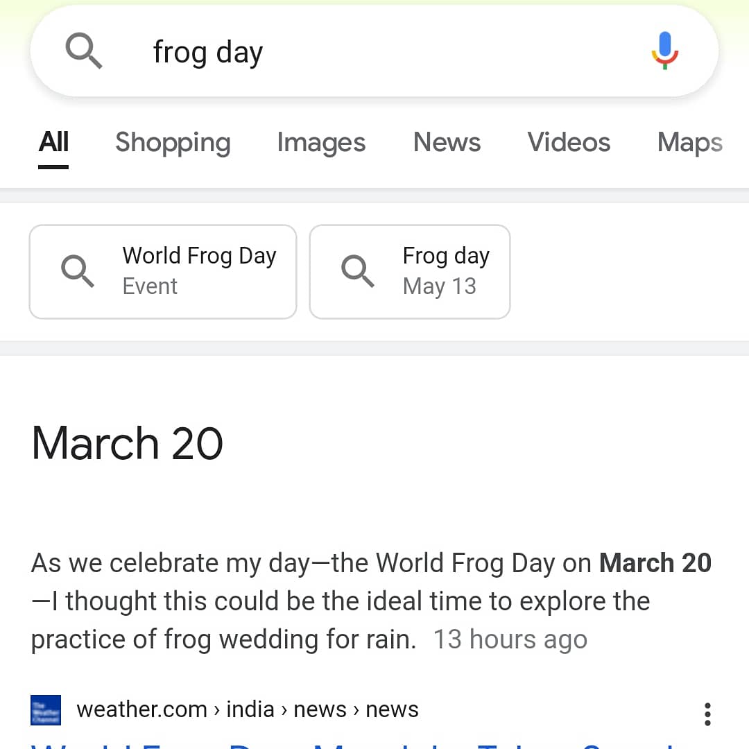 Today is frog day and also Tessa Violet\s birthday so this was only necessary happy birthday 
