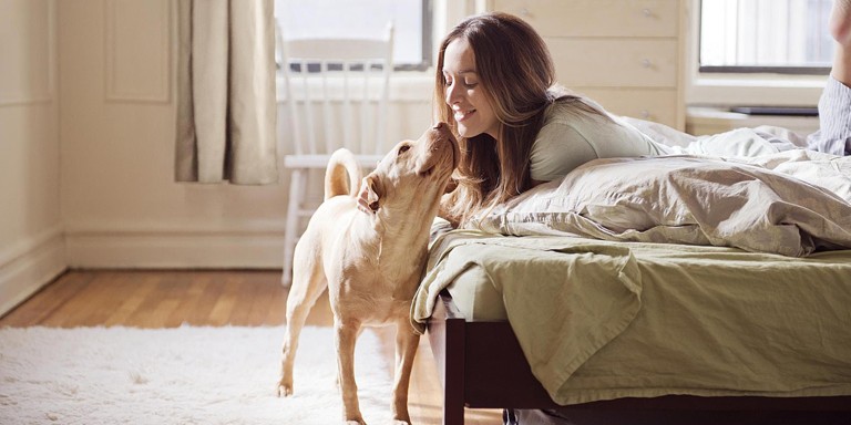 Playstation 4 обои. Are you playing with me. Are you playing with me. Why are you so obsessed with me. Obsessed with.