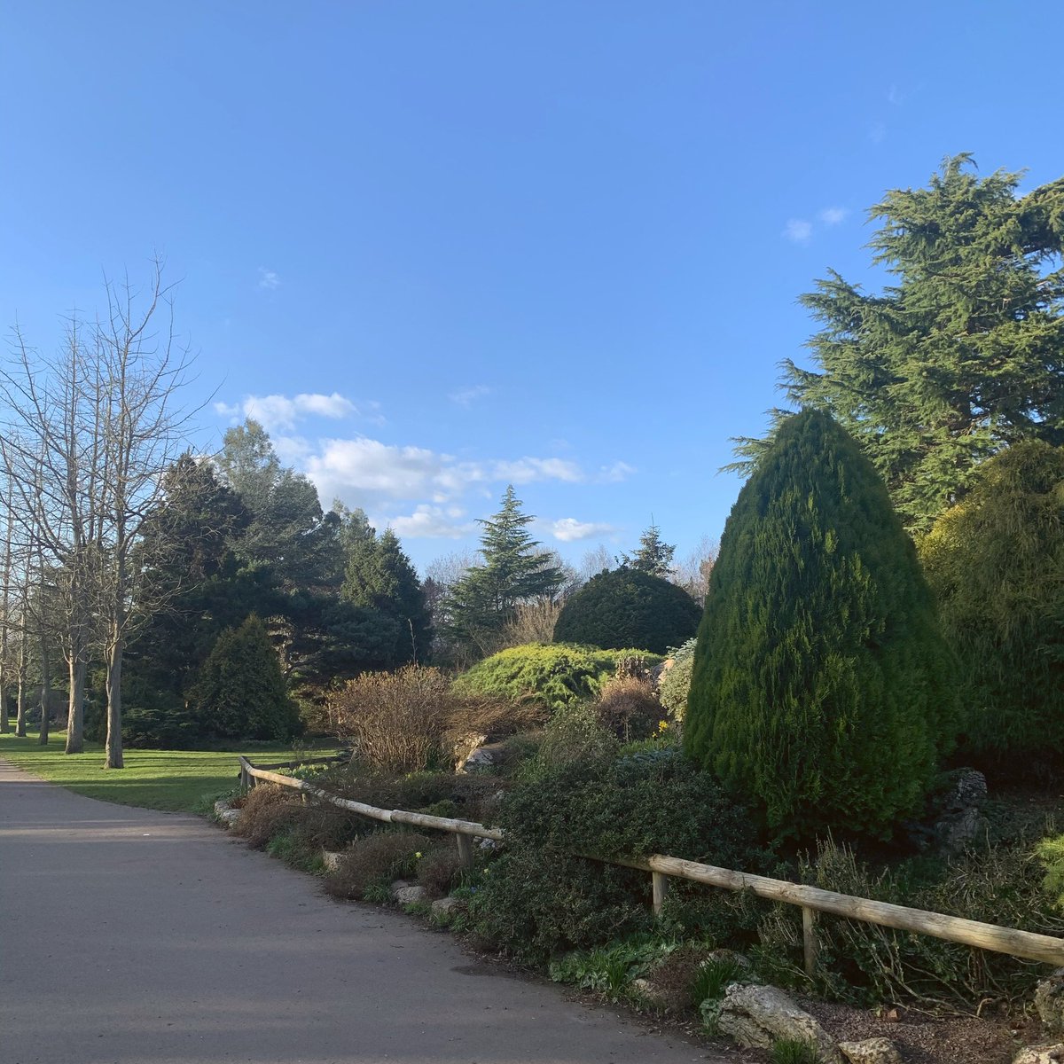 The sun was out on our #WeeklyWalk 🌤 We can’t wait for the weather to keep getting warmer for more walks in the sunshine! 🌞🕶