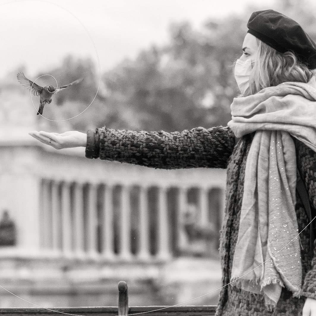 Hoy 20 de marzo se celebra El Día Mundial del Gorrión para advertir sobre el declive y amenaza que sienten las aves comunes🙏. Os animamos a seguir el proyecto <a href="/Gorriones_Org/">Gorriones, amigos amenazados - Gorriones.org</a>  del gran <a href="/Adellanotte/">Antonello Dellanotte</a> donde informa cada día de la situación🍀.

Fotografía 📷: <a href="/Adellanotte/">Antonello Dellanotte</a>