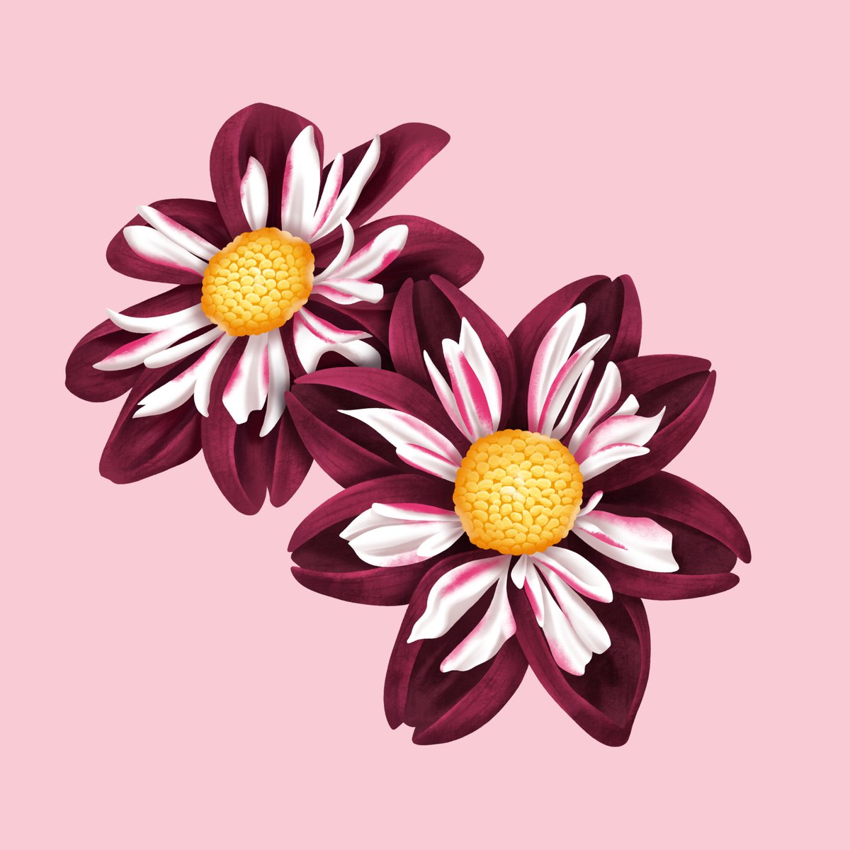 rachillustrate's tweet photo. Happy first day of spring 🌼 https://t.co/poyBM3yy5K
