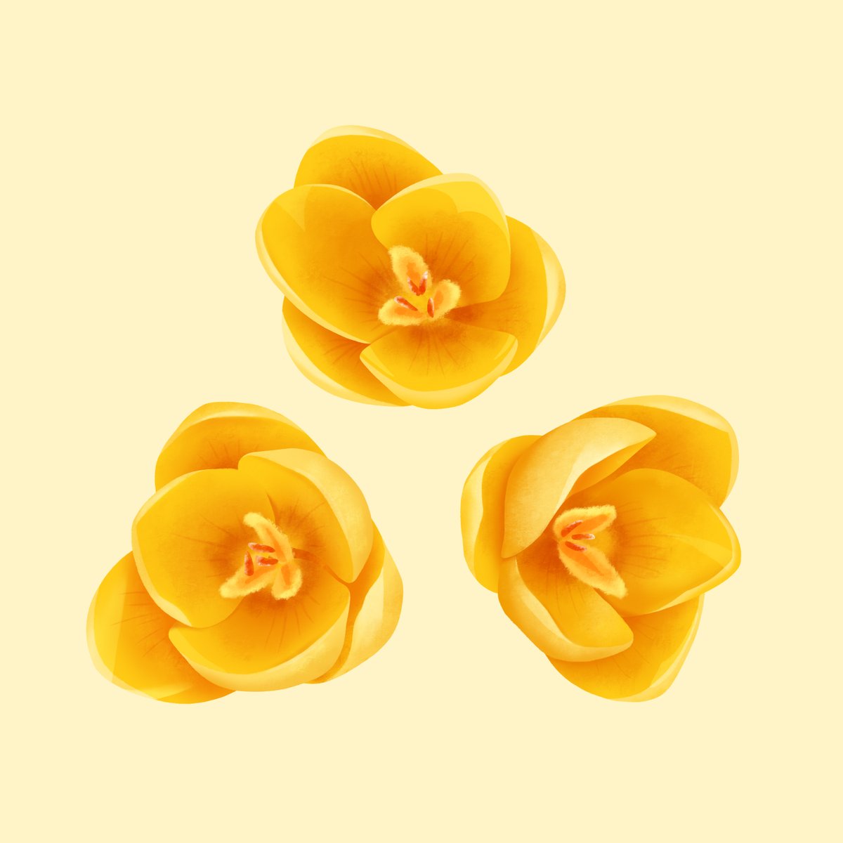 rachillustrate's tweet photo. Happy first day of spring 🌼 https://t.co/poyBM3yy5K
